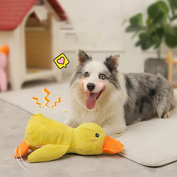 The Perfect Toy for Naughty Puppies，Quack-Quack Duck Dog Toy